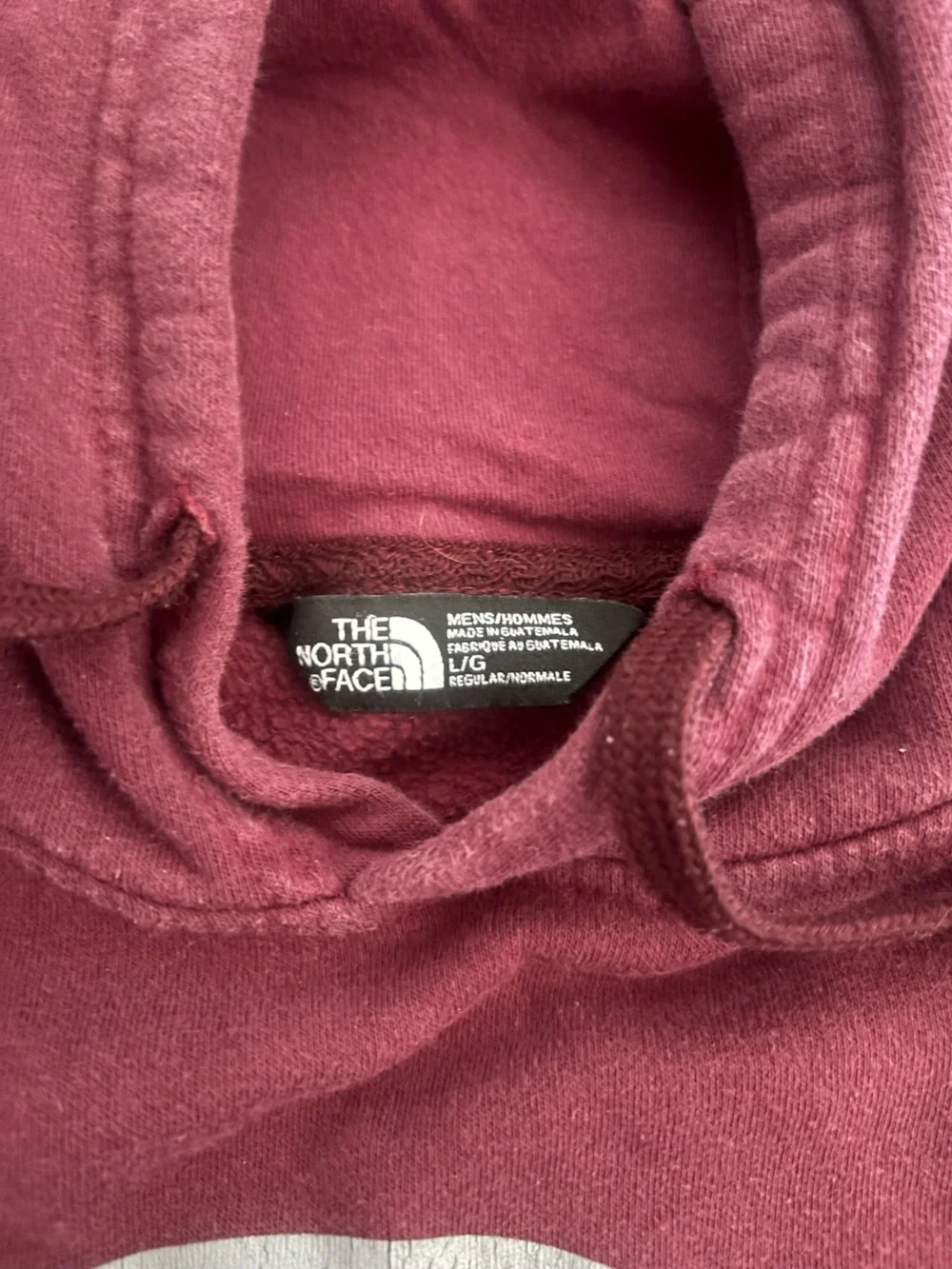 The North Face northface hoodie